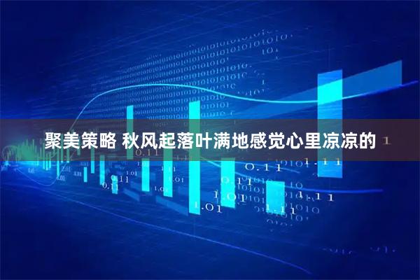聚美策略 秋风起落叶满地感觉心里凉凉的
