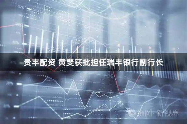 贵丰配资 黄斐获批担任瑞丰银行副行长