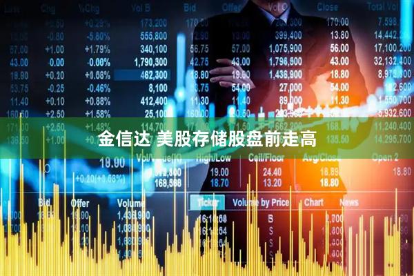 金信达 美股存储股盘前走高