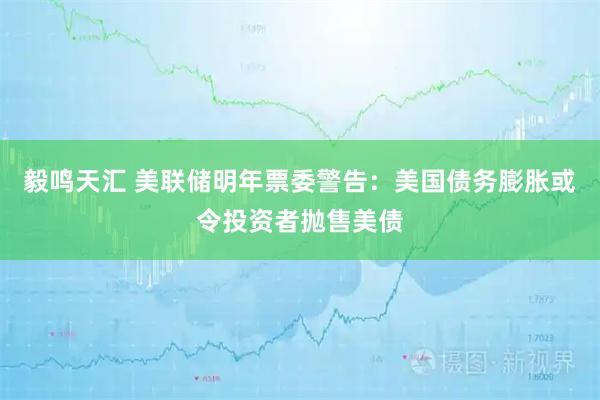 毅鸣天汇 美联储明年票委警告：美国债务膨胀或令投资者抛售美债